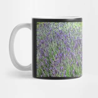 Lavender field in the spring Mug